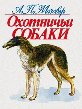 Александр Мазовер Охотничьи собаки обложка книги