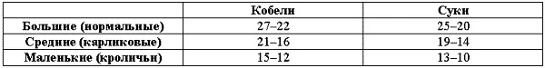 Высота в крупе не должна превышать высоту в холке Индекс растянутости 155170 - фото 27