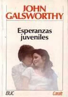 John Galsworthy Esperanzas juveniles обложка книги