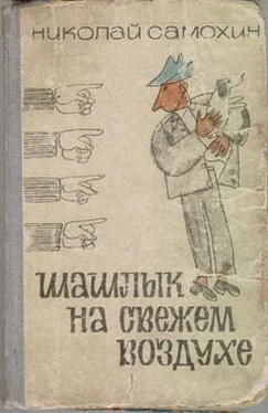 Николай Самохин Шашлык на свежем воздухе обложка книги