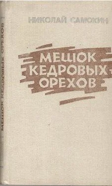 Николай Самохин Мешок кедровых орехов обложка книги