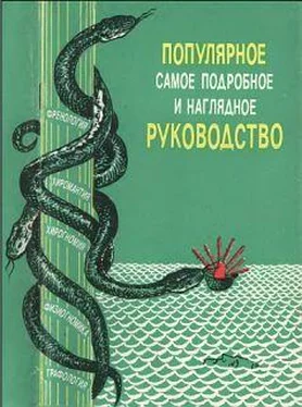 Г. Кузьмин Френология, физиогномика, хиромантия, хирогномия, графология. Популярное самое подробное и наглядное руководство обложка книги