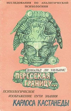 Дональд Уильямс Пересекая границу. Психологическое изображение пути знания Карлоса Кастанеды