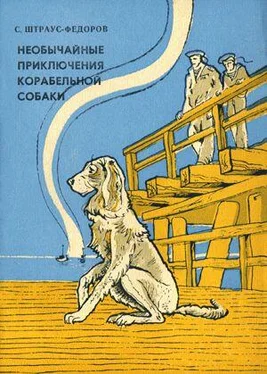 Станислав Штраус-Федоров Необычайные приключения корабельной собаки обложка книги