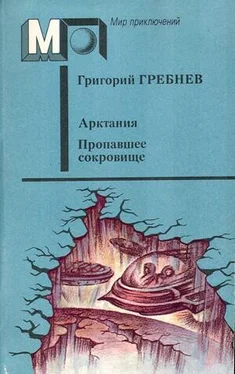 Григорий Гребнев Арктания обложка книги