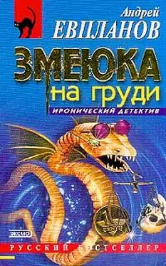 Андрей Евпланов Змеюка на груди обложка книги