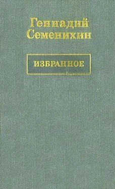 Геннадий Семенихин Пани Ирена обложка книги