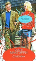 Валери Макгэрри - Сумочка