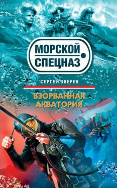 Сергей Зверев Взорванная акватория обложка книги