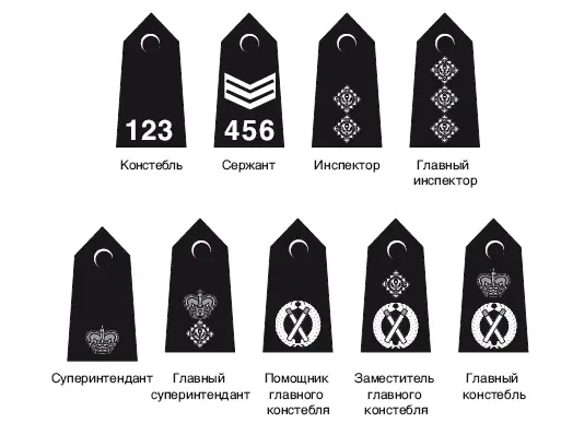 Благодарности Может сложиться впечатление что писатель всегда действует в - фото 3