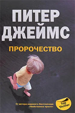 Питер Джеймс Пророчество обложка книги