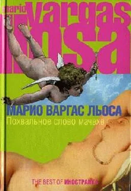 Марио Льоса Похвальное слово мачехе обложка книги