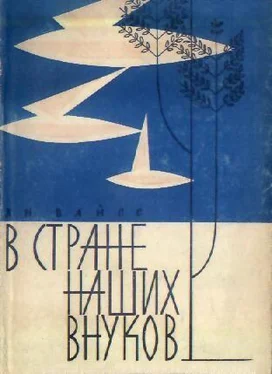 Ян Вайсс В стране наших внуков обложка книги