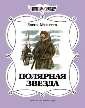 Елена Матвеева Полярная звезда обложка книги