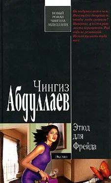 Чингиз Абдуллаев Этюд для Фрейда обложка книги