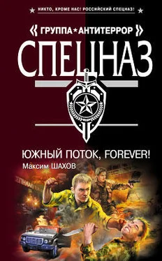 Максим Шахов Южный поток – forever! обложка книги