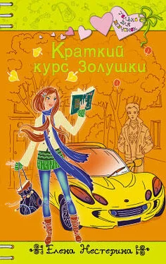 Елена Нестерина Краткий курс Золушки обложка книги