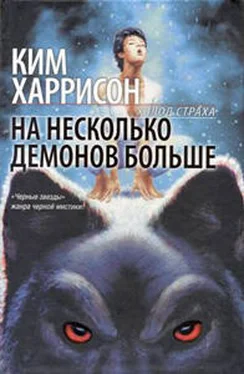 Ким Харрисон На несколько демонов больше обложка книги