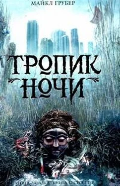 Майкл Грубер Тропик ночи обложка книги