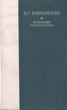 Б. Аверин Рассказы, этюды и очерки В. Г. Короленко обложка книги