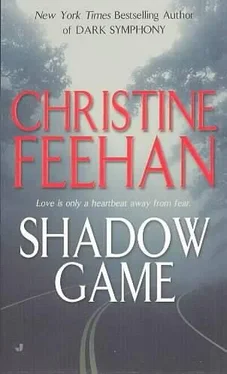 Christine Feehan Shadowgame обложка книги