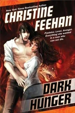 Christine Feehan Dark Hunger обложка книги