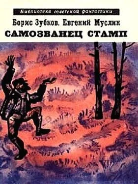 Борис Зубков Самозванец Стамп (сборник) обложка книги