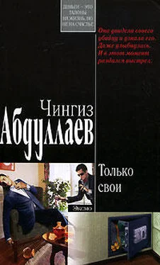 Чингиз Абдуллаев Только свои обложка книги