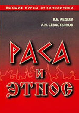 Владимир Авдеев Раса и этнос обложка книги