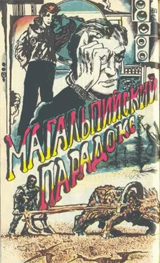 Сергей Авдеенко Магальпийский парадокс обложка книги