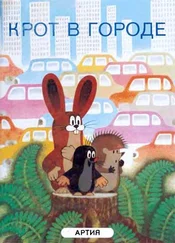 Й. Новотны - Крот в городе