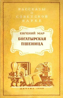 Евгений Мар Богатырская пшеница обложка книги