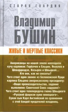 Владимир Бушин Живые и мертвые классики обложка книги