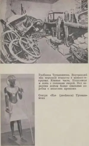 Во времена фараонов - фото 11