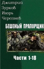 Дмитрий Зурков - Бешеный прапорщик. Части 1-18