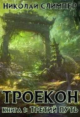 Николай Слимпер Третий путь (СИ) обложка книги