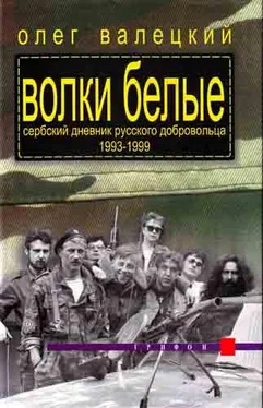 Олег Валецкий ВОЛКИ БЕЛЫЕ(Сербский дневник русского добровольца 1993-1999) обложка книги