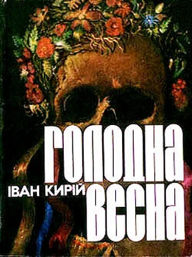 Іван Кирій Голодна весна обложка книги