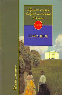 Юрий Орлицкий Русские поэты второй половины XIX века обложка книги