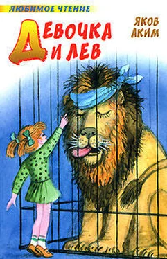Яков Аким Девочка и лев (сборник) обложка книги