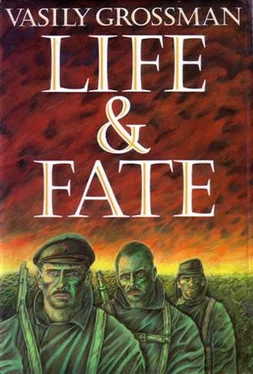 Vasily Grossman Life And Fate обложка книги