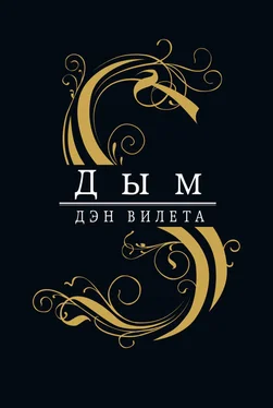 Дэн Вилета Дым обложка книги