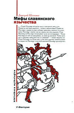 Дмитрий Шеппинг Мифы славянского язычества обложка книги