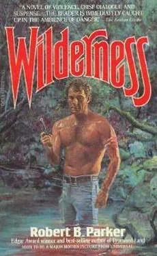 Robert Parker Wilderness обложка книги