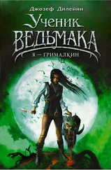 Джозеф Дилейни - Я – Грималкин