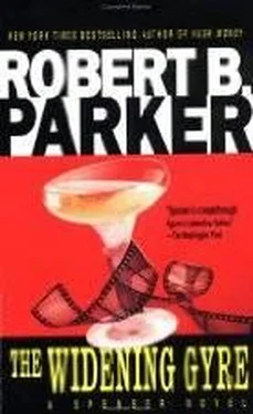 Robert Parker The Widening Gyre обложка книги