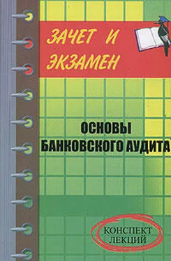 Денис Шевчук Банковский аудит обложка книги