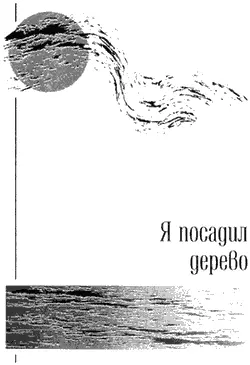 Я посадил дерево Стена памяти Виктора Цоя Москва Арбат Кто из вас - фото 6