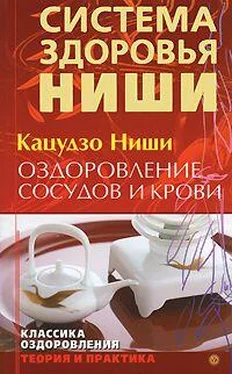 Кацудзо Ниши Оздоровление сосудов и крови обложка книги