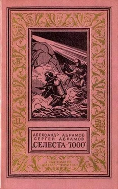 Александр Абрамов Селеста-7000 обложка книги